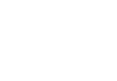 LAN Infotech logo